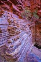 Banded Iron Formation, Munjina Gorge, Hamersley Range, Karijini National Park, Western Australia.
