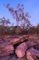 Twin Falls Creek catchment, Kakadu National Park, Northern Territory