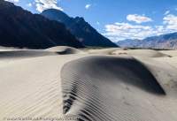 Sand dunes, Nubra valley