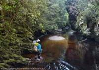 Livingston Rivulet, Tasmanian Wilderness World Heritage Area
