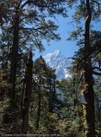 Paungi Himal (6538m) viewed through gap in trees, Manaslu Circuit trek, Nepal