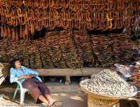 Dozing roadside vendor selling split dried fish.