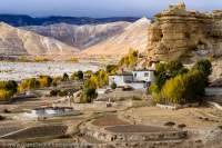 NEPAL. Trees in autumn colour amongst harvested fields and Tibetan-style houses on floor of broad valley, Mustang.