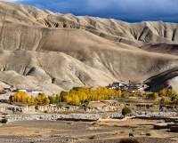 NEPAL. Trees in autumn colour amongst harvested fields and Tibetan-style houses at foot of barren hills, Mustang.