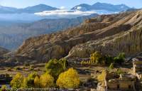NEPAL. Trees in autumn colur and harvested fields beneath eroded hill slopes, Mustang.