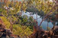 AUSTRALIA, Northern Territory, Top End, Katherine, Nitmiluk National Park. Woodland above First Gorge.