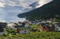 NORWAY, Sogn og Fjordane, Solvorn. Apple orchard and Solvorn village, from Eplet Bed & Apple accommodation, Lusterfjord.