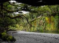 NEW ZEALAND 2014. Kaipo valley, Fiordland National Park, Te Wahipounamu World Heritage Area.
