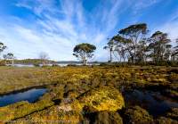 Lake Ina, Central Plateau Conservation Area, Tasmanian Wilderness World Heritage Area