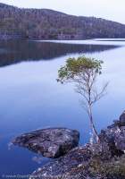 Lake Malbena, Central Plateau, Tasmanian Wilderness World Heritage Area.