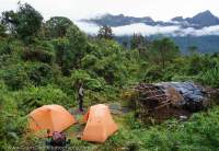 Camp below Beroro Pass, Star Mountains, Papua New Guinea.