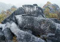 Rillenkarren, limestone karst west of Mt Capella, Star Mountains, Papua New Guinea.