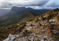 Precipitous Bluff, Southwest National Park, Tasmanian Wilderness World Heritage Area