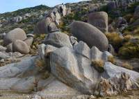 Weathered granite, Southwest Cape, Tasmanian Wilderness World Heritage Area