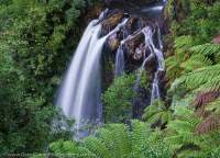 Philosopher Falls, Tarkine region, Tasmania