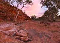 Illara Creek, Urrampinyi Iltjiltjarri Aboriginal land trust area, Northern Territory, Australia