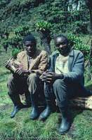 UGANDA, Rwenzori Mountains, 