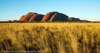 Kata Tjuta (The Olgas), Uluru - Kata Tjuta National Park, Northern Territory, Australia.