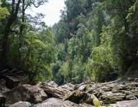 Trip to Vanishing Falls, Southwest National Park, Tasmanian Wilderness World Heritage Area