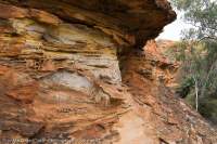 Watarrka/Kings Canyon National Park, Northern Territory, Australia