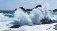 Breaking wave, High Rocky Point area, Spero-Wanderer region.