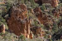 Fractured sandstone bluffs, Edeowie Gorge, Wilpena Pound, Flinders Ranges National Park.