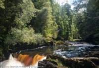 Weld River, Southwest National Park, Tasmanian Wilderness World Heritage Area