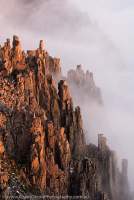 Columnar dolertite crags in mist at sunset, Mt Field National Park, Tasmanian Wilderness World Heritage Area.