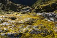 Castle River valley, Fiordland. Worsley valley to Milford Sound, NZ 2024