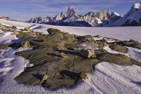 ARGENTINA, Patagonia. Granite peak of Cerro Fitzroy, viewed from southern Patagonian icecap.