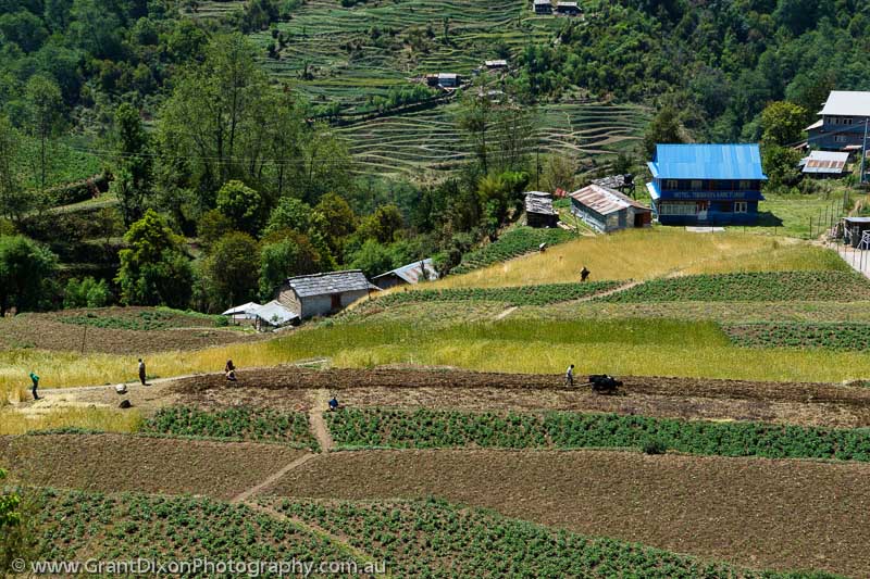 image of Swanta terraced fields