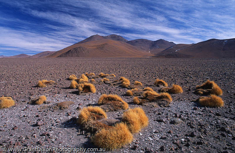 image of Southwest altiplano 2