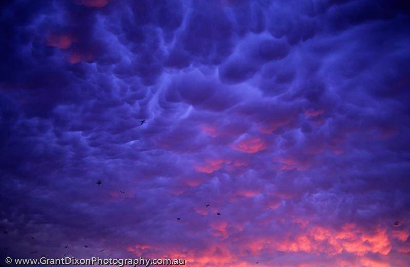 image of Dawn clouds