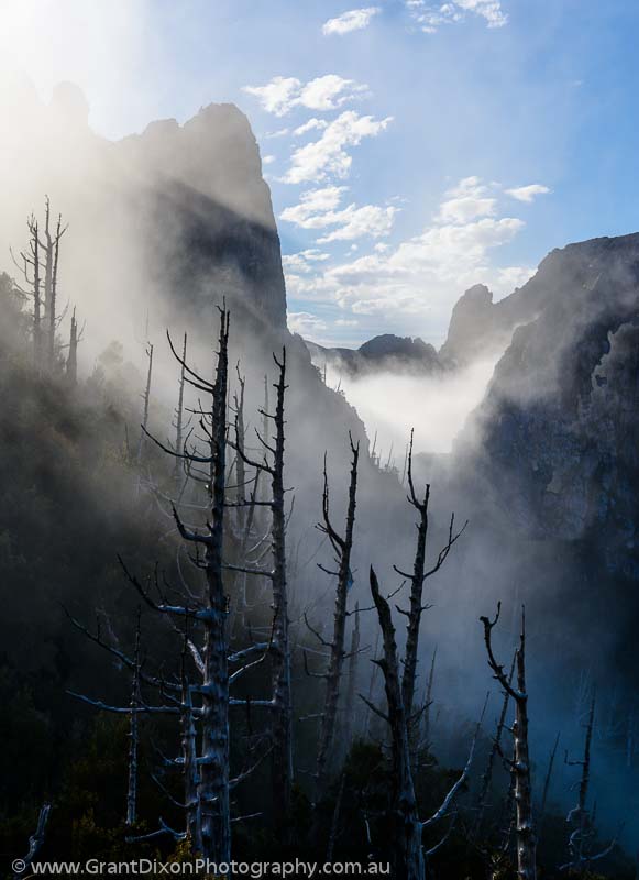 image of Frenchmans Cap mist & pines