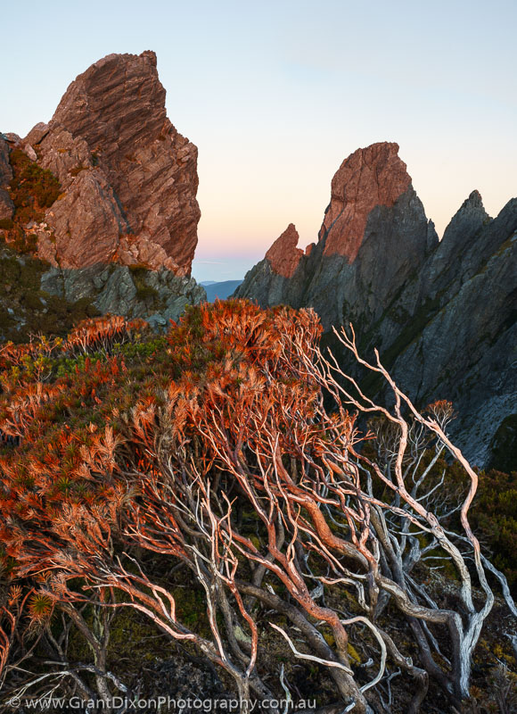 image of Federation Peak scoparia dusk