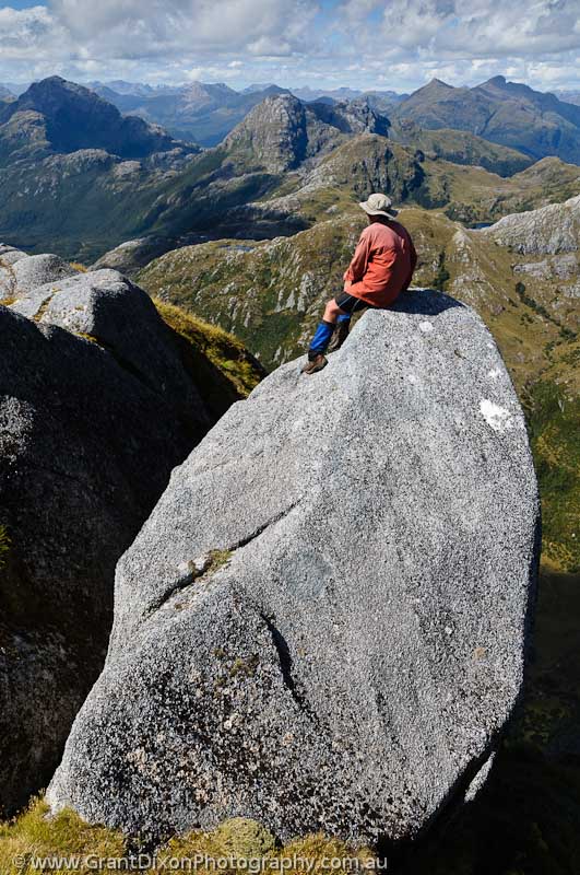 image of Fiordland lookout