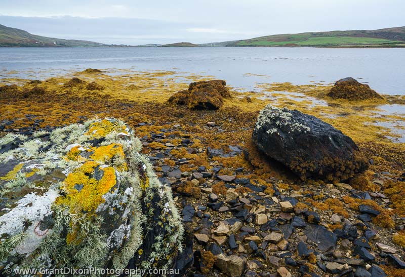 image of Connemara low tide