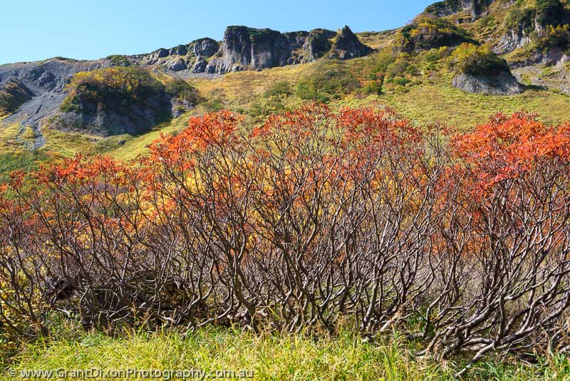 image of Daisetsuzan alpine autumn 3