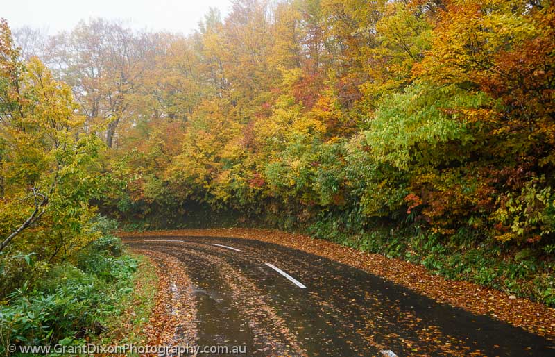 image of Hakkoda-san autumn road