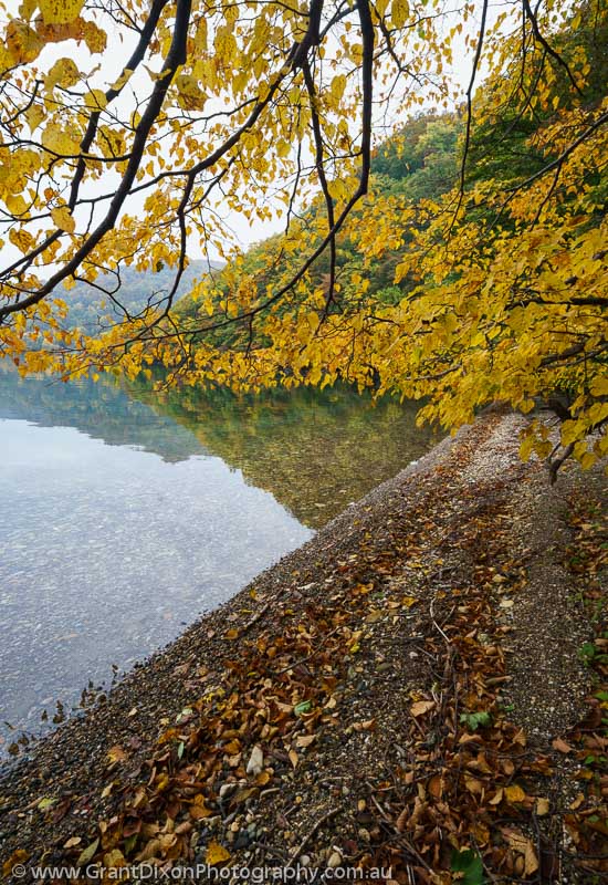 image of Towada-ko autumn 2