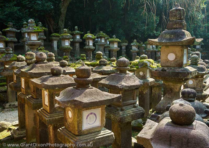 image of Nara stone lanterns