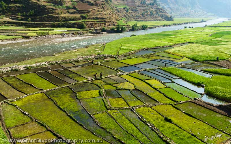 image of Jumla irrigated fields