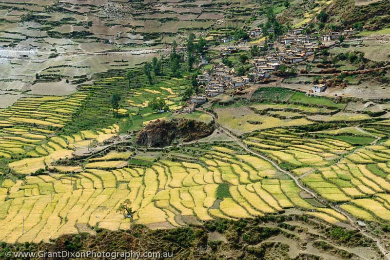 image of Gamgadhi terraced fields