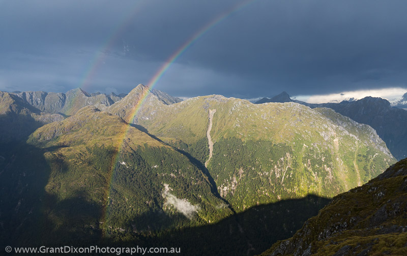 image of Fiordland rainbow