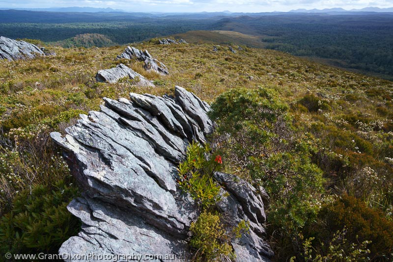 image of Bertha rock outcrops