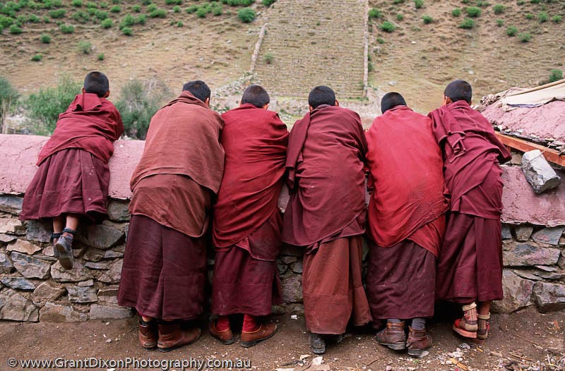 image of Red robed monks