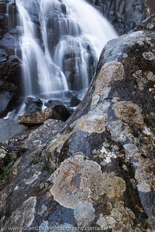 image of Wellington Falls lichen
