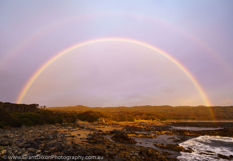 image of Jones Creek rainbow