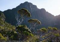 Anne Range, Tasmanian Wilderness World Heritage Area