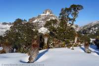 Anne Range, winter, Tasmanian Wilderness World Heritage Area